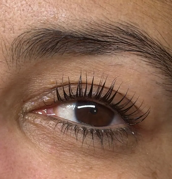 Rehaussement de cils et teinture, Sahyla